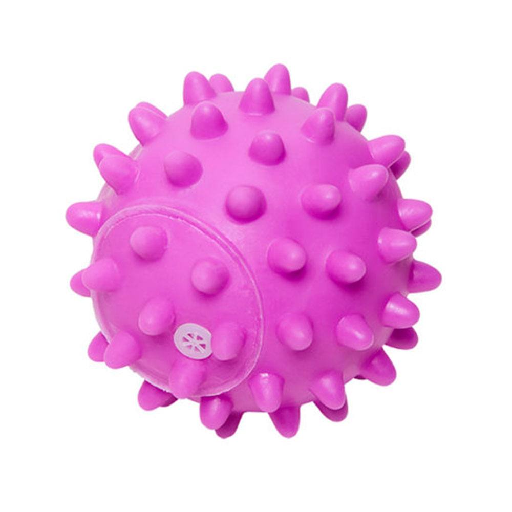 Bola Espinho Roxo Vinil Para Cães HomePet