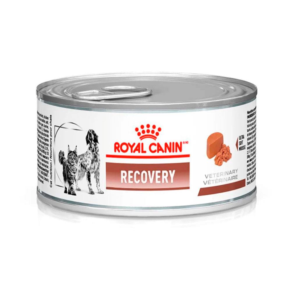 Ração Úmida Royal Canin Veterinary Recovery Wet Para Cães e Gatos 195g