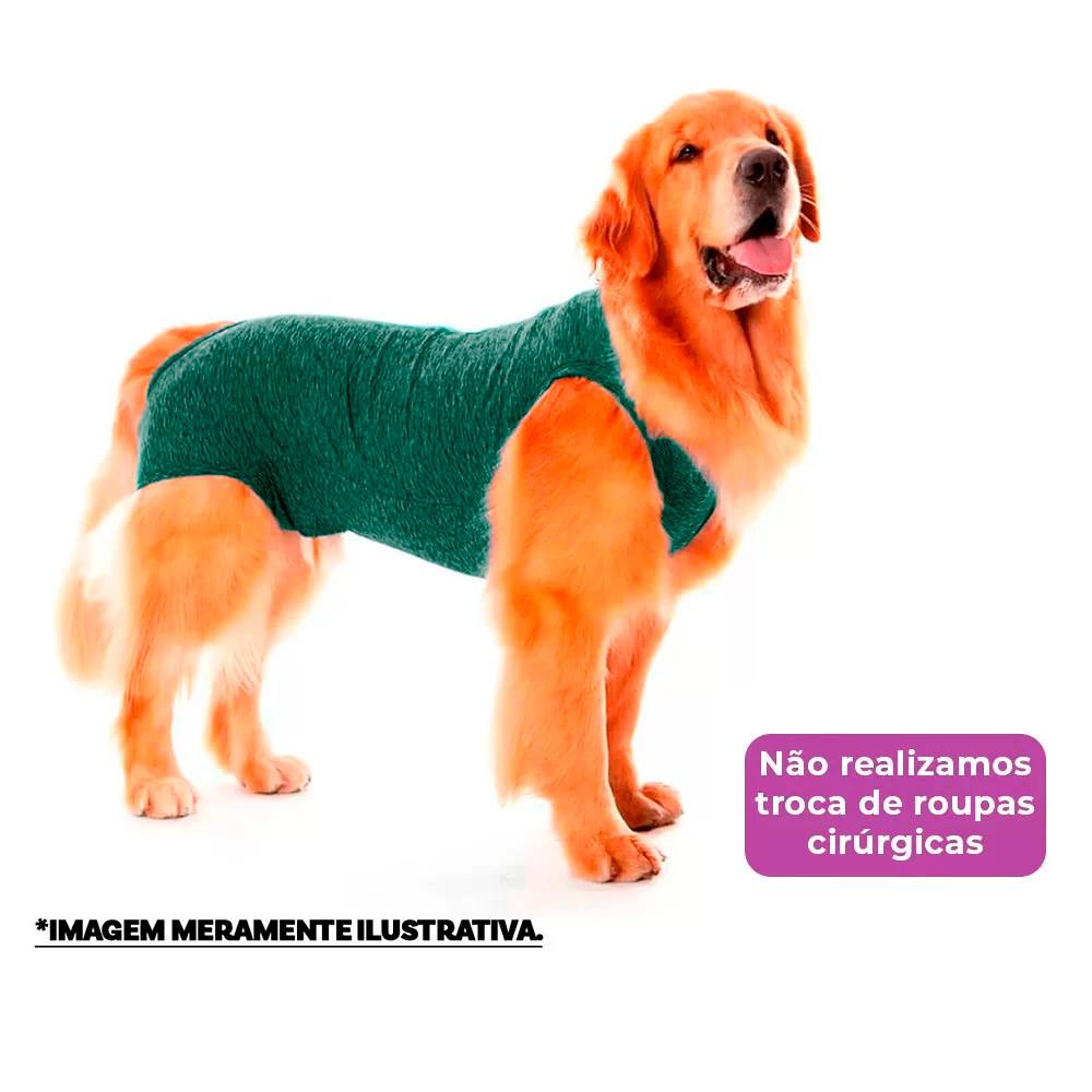 Roupa Pós-Cirúrgica Pet Gaby Suplex Verde - Tam.06