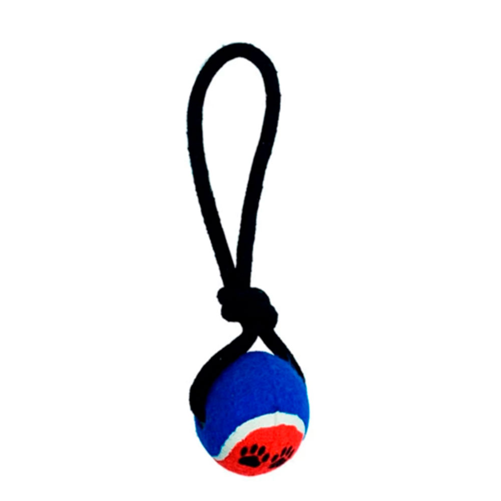 Brinquedo Mordedor Para Cães Corda Puxador com Bolinha Azul Savana Pet