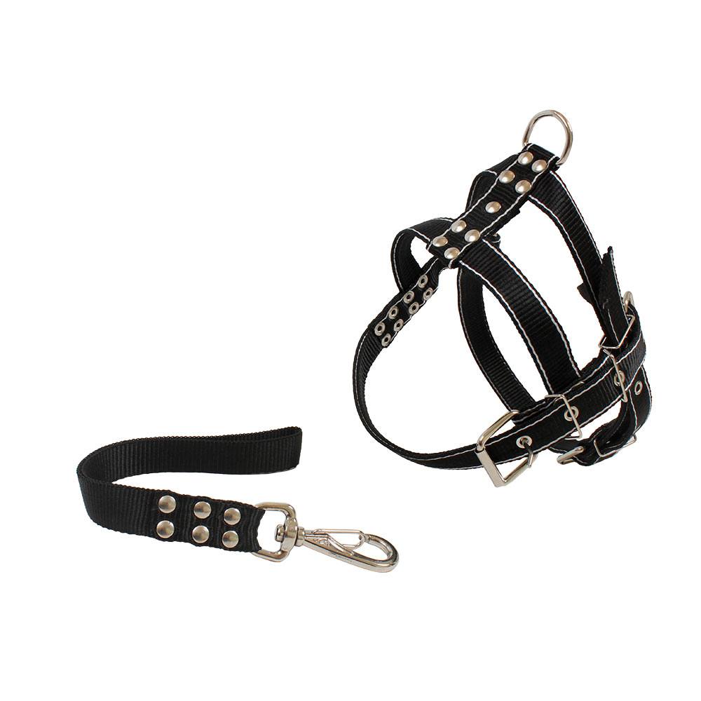 Conjunto Guia e Peitoral Reforçado Para Cães D&G Cores Sortidas Tam.P