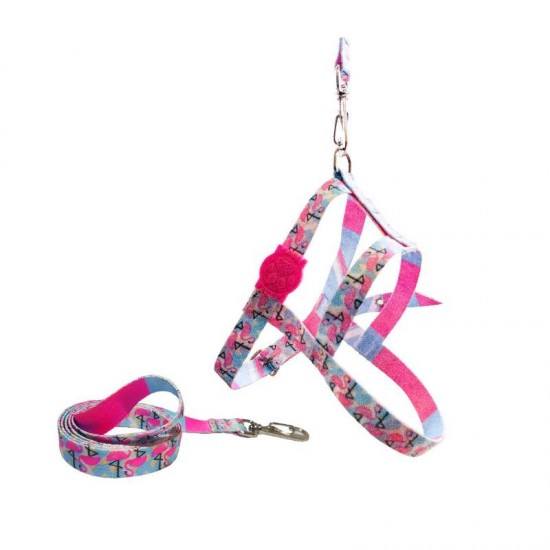 Conjunto Guia Peitoral Seda Nº 3