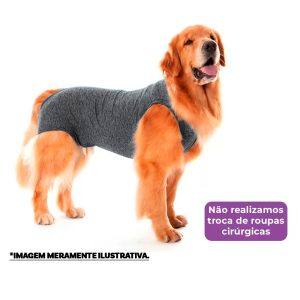 Roupa Pós-Cirúrgica Pet Gaby Suplex Cinza Mescla - Tam.04