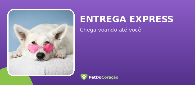 Entrega Express