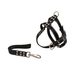 Conjunto Guia e Peitoral Reforçado Para Cães D&G Cores Sortidas Tam. M